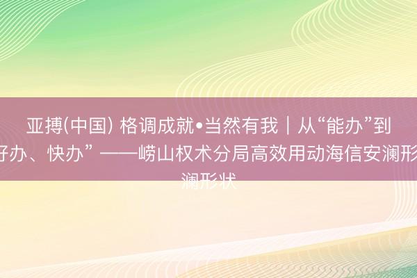 亚搏(中国) 格调成就•当然有我｜从“能办”到“好办、快办” ——崂山权术分局高效用动海信安澜形状