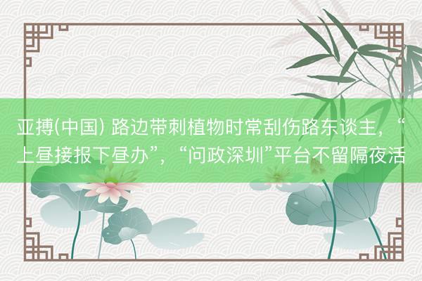 亚搏(中国) 路边带刺植物时常刮伤路东谈主，“上昼接报下昼办”，“问政深圳”平台不留隔夜活