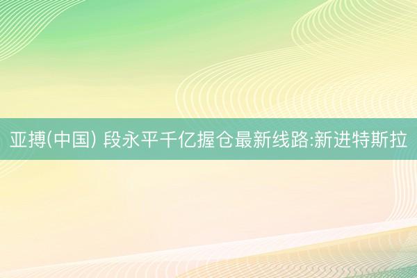 亚搏(中国) 段永平千亿握仓最新线路:新进特斯拉