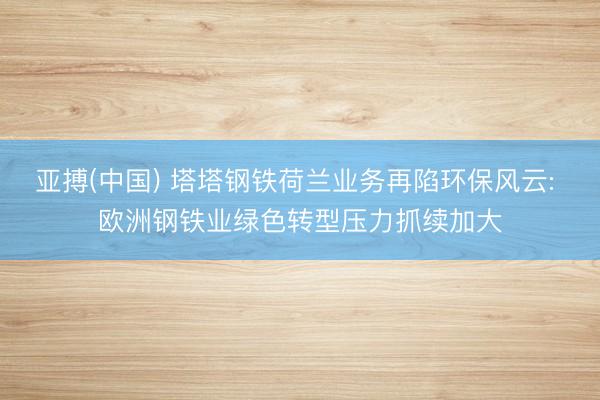 亚搏(中国) 塔塔钢铁荷兰业务再陷环保风云: 欧洲钢铁业绿色转型压力抓续加大