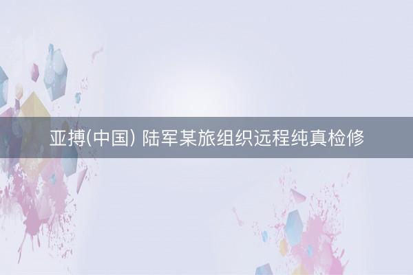 亚搏(中国) 陆军某旅组织远程纯真检修