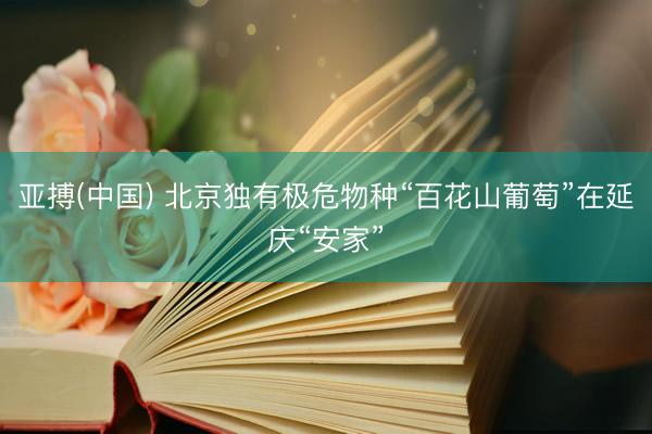 亚搏(中国) 北京独有极危物种“百花山葡萄”在延庆“安家”