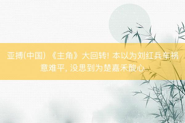 亚搏(中国) 《主角》大回转! 本以为刘红兵车祸意难平， 没思到为楚嘉禾酸心