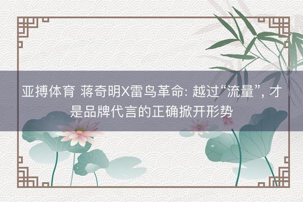 亚搏体育 蒋奇明X雷鸟革命: 越过“流量”， 才是品牌代言的正确掀开形势