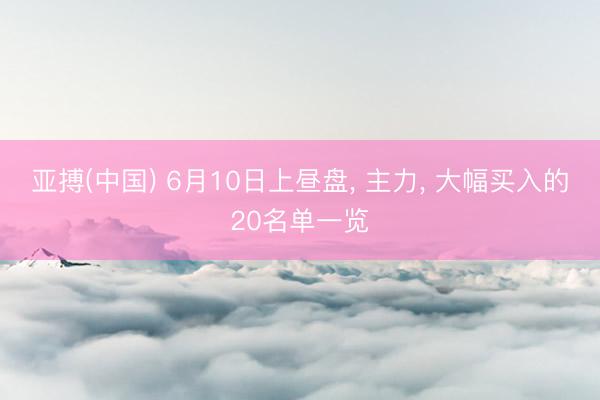 亚搏(中国) 6月10日上昼盘， 主力， 大幅买入的20名单一览