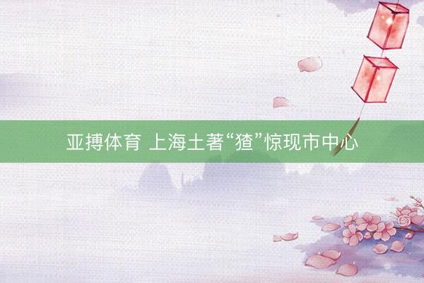 亚搏体育 上海土著“猹”惊现市中心