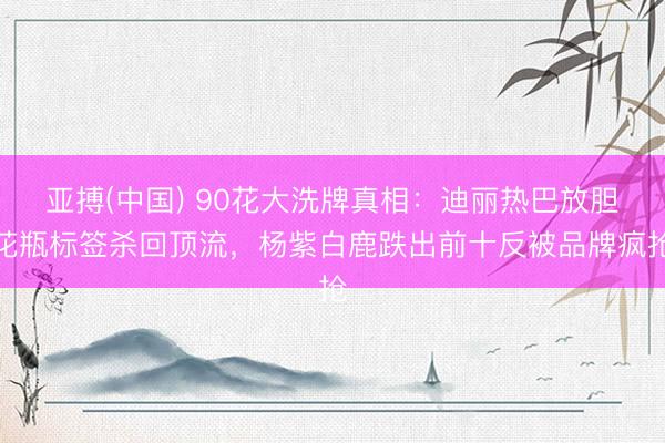 亚搏(中国) 90花大洗牌真相：迪丽热巴放胆花瓶标签杀回顶流，杨紫白鹿跌出前十反被品牌疯抢