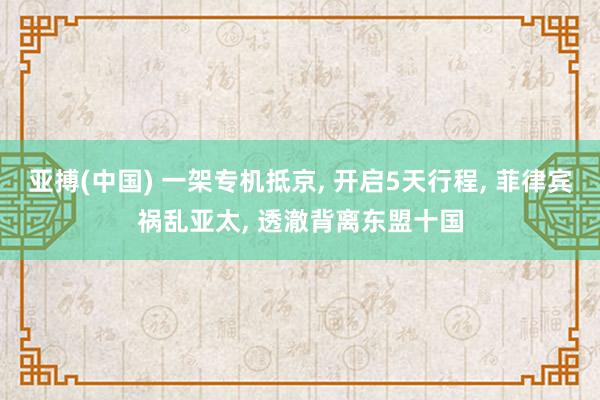 亚搏(中国) 一架专机抵京, 开启5天行程, 菲律宾祸乱亚太, 透澈背离东盟十国