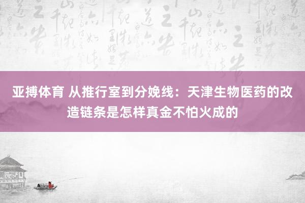 亚搏体育 从推行室到分娩线：天津生物医药的改造链条是怎样真金不怕火成的